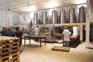 Distillerie  Monforte del Cid- 034